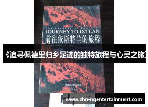 《追寻佩德里归乡足迹的独特旅程与心灵之旅》