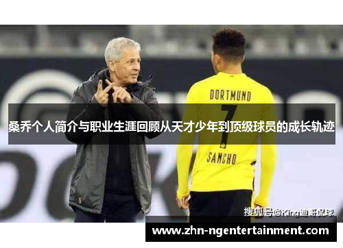桑乔个人简介与职业生涯回顾从天才少年到顶级球员的成长轨迹 桑乔个人简介与职业生涯回顾从天才少年到顶级球员的成长轨迹