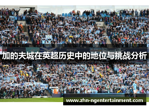 加的夫城在英超历史中的地位与挑战分析 加的夫城在英超历史中的地位与挑战分析