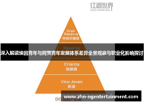 深入解读埃因青年与阿贾青年发展体系差异全景观察与职业化影响探讨 深入解读埃因青年与阿贾青年发展体系差异全景观察与职业化影响探讨